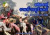 SURINS ELEPHANT ROUND-UP 2025 